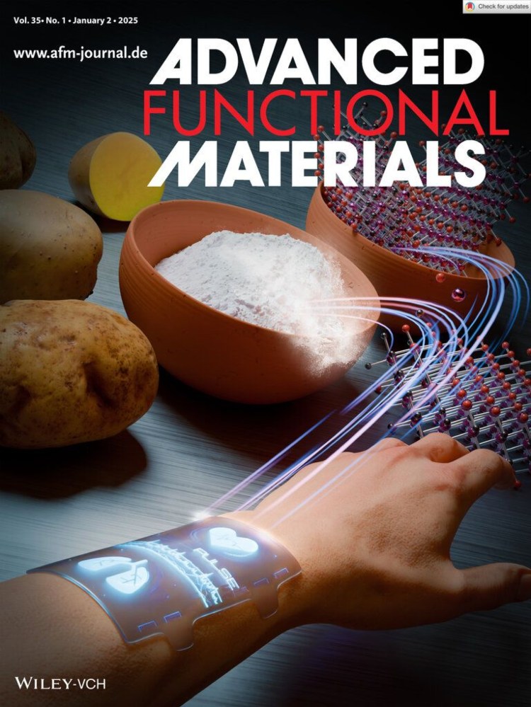Το εξώφυλλο του περιοδικού Advanced Functional Materials