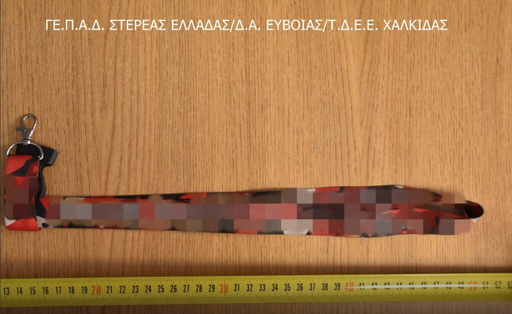 Από τα ευρήματα της Αστυνομίας