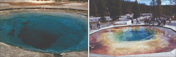 Yellowstone