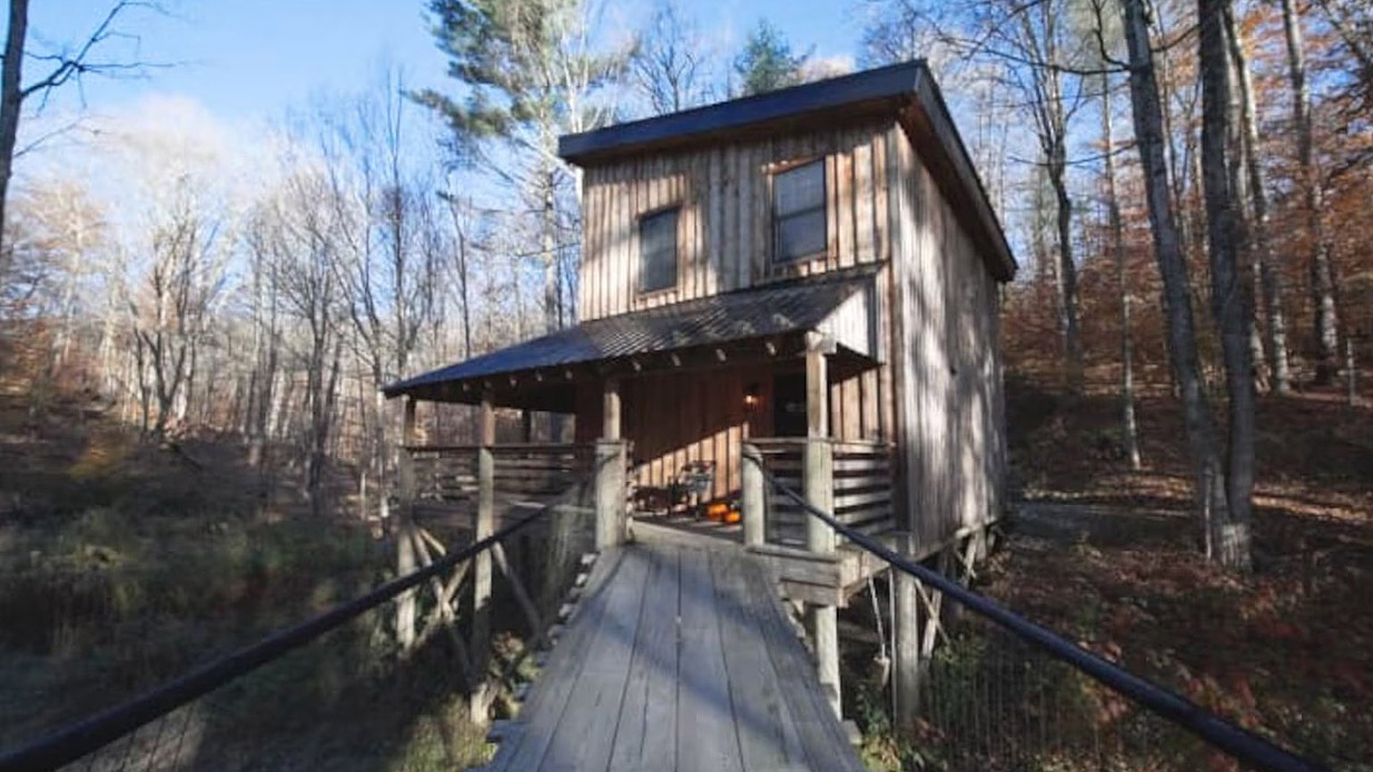 Όνειρο, μες στο δάσος