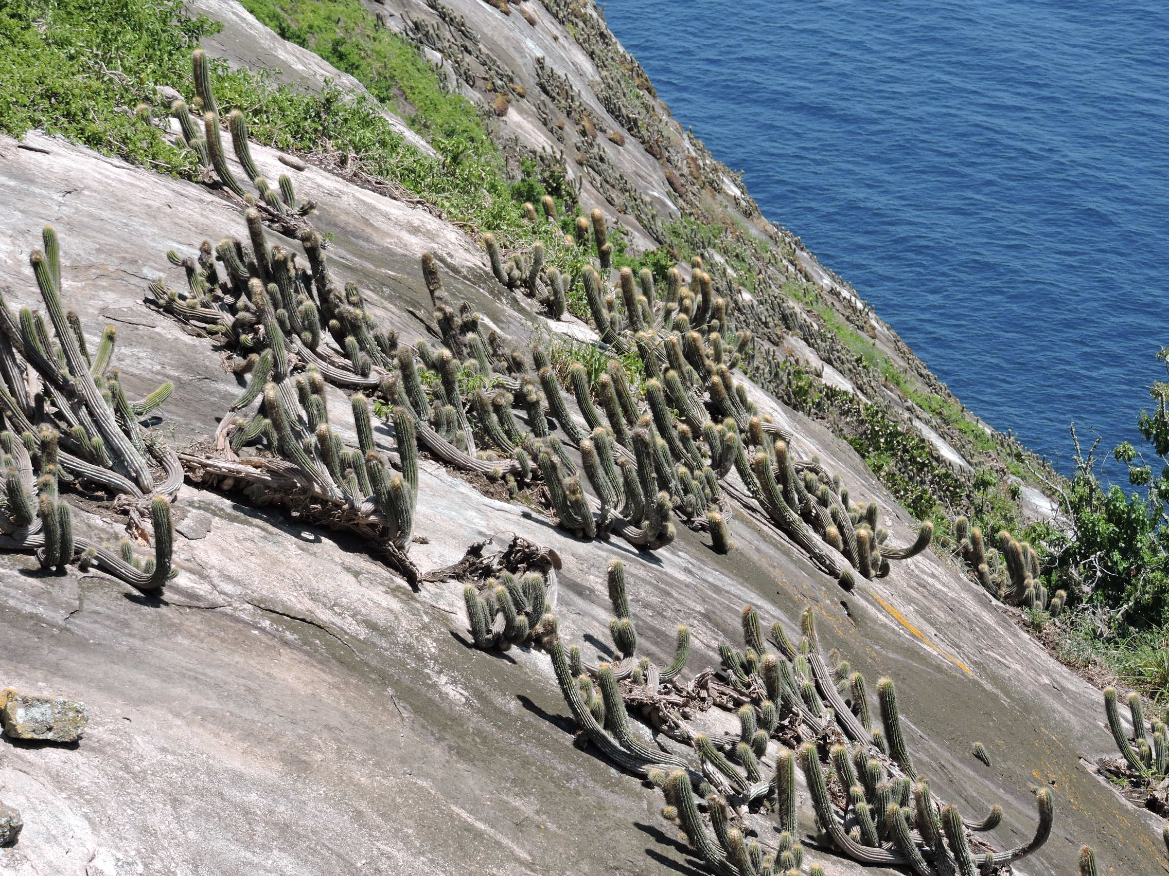 Η βραχώδης πλευρά του νησιού