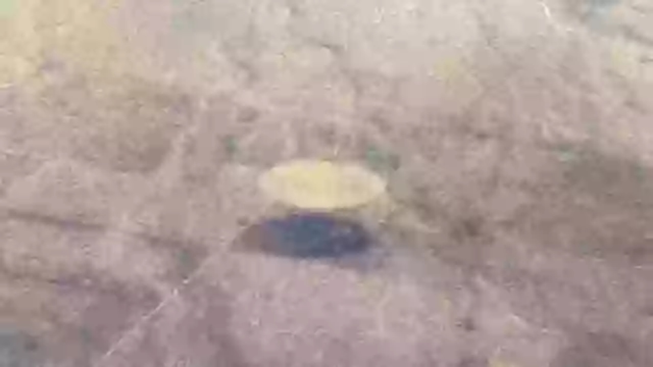 Η επίμαχη φωτογραφία με το «UFO»