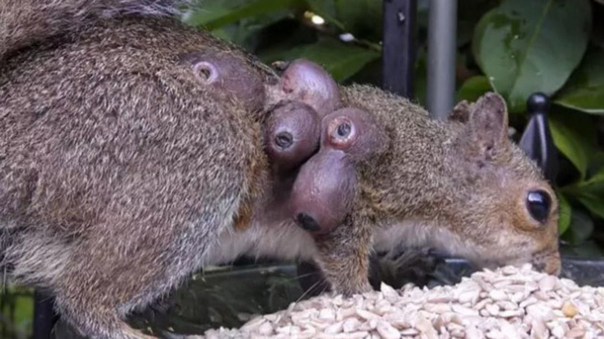 Tα τρομακτικά συμπτώματα