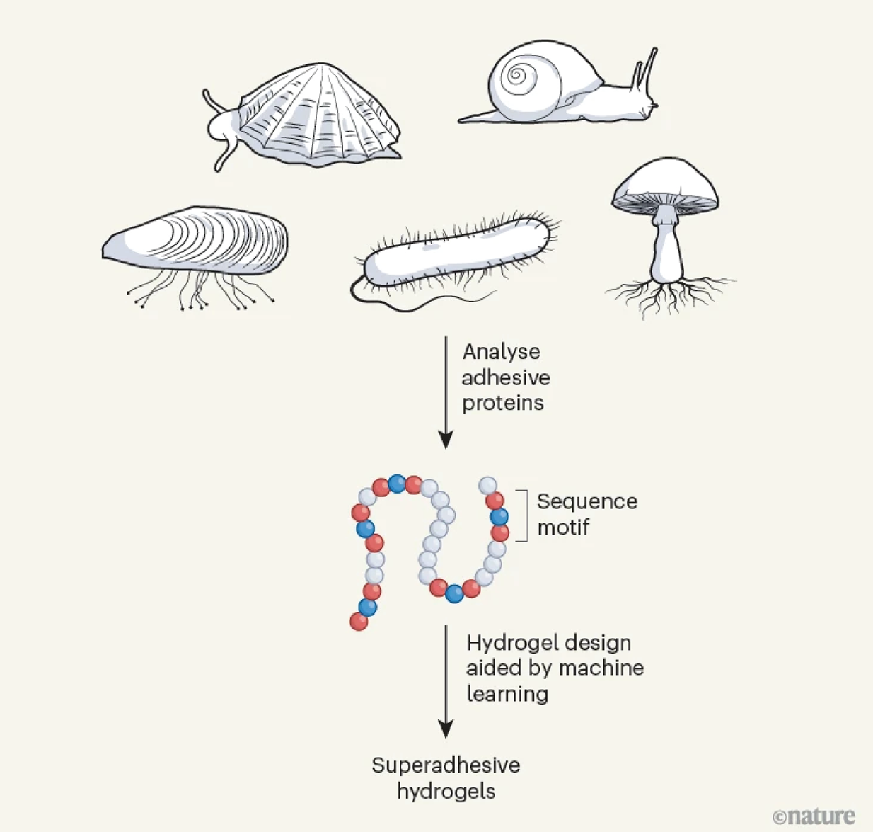 Η... τεχνική