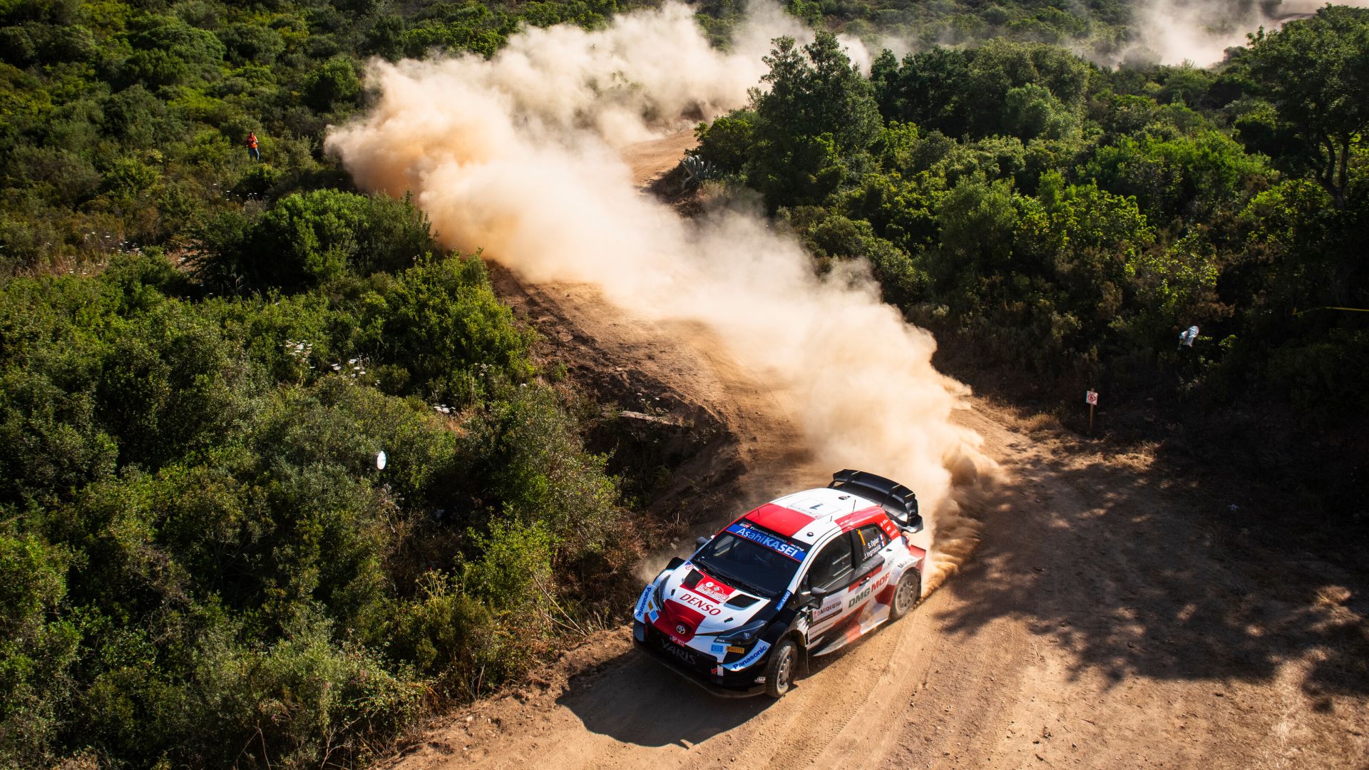 Ogier WRC Rally Italia