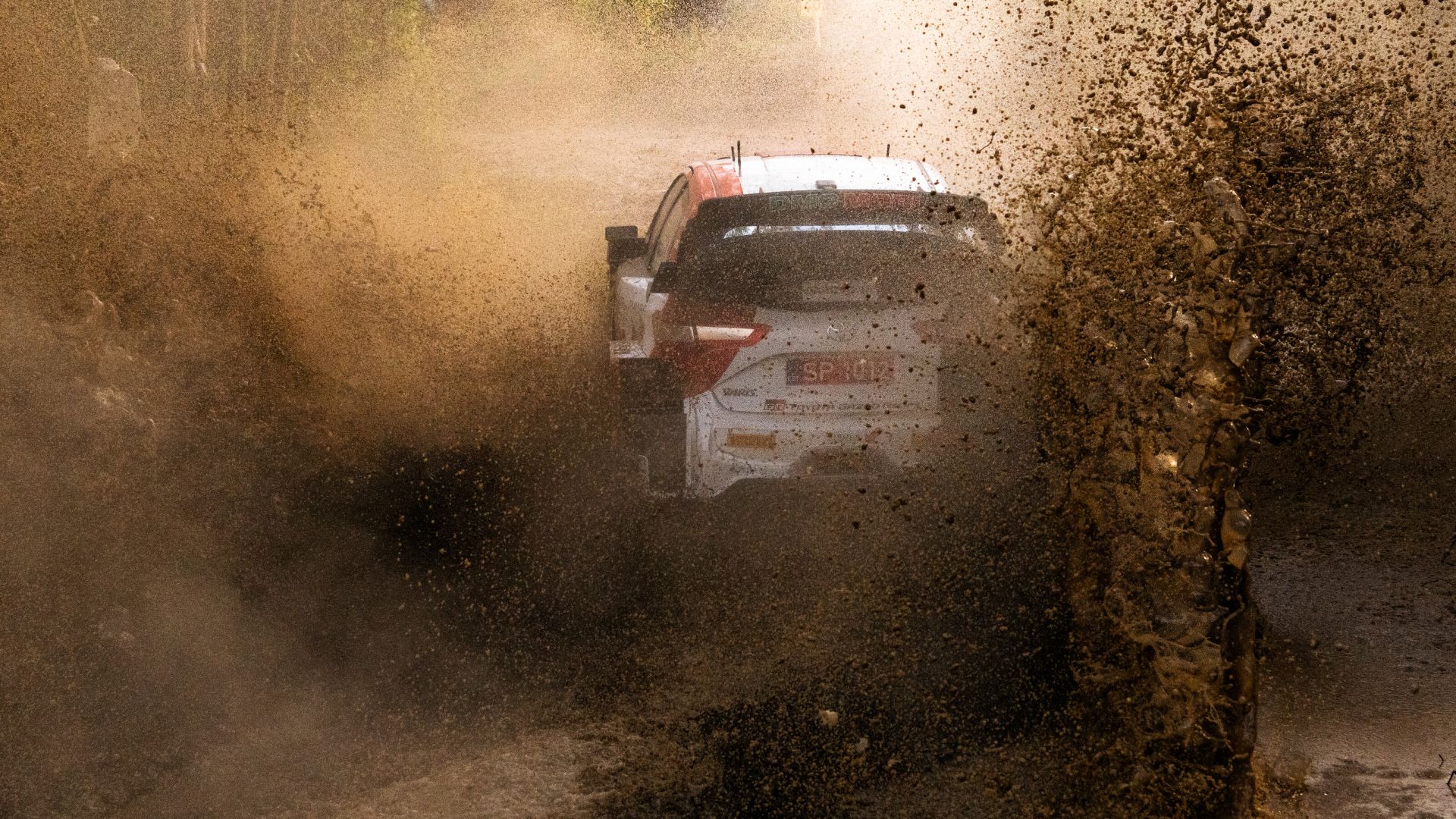 Sebastien Ogier