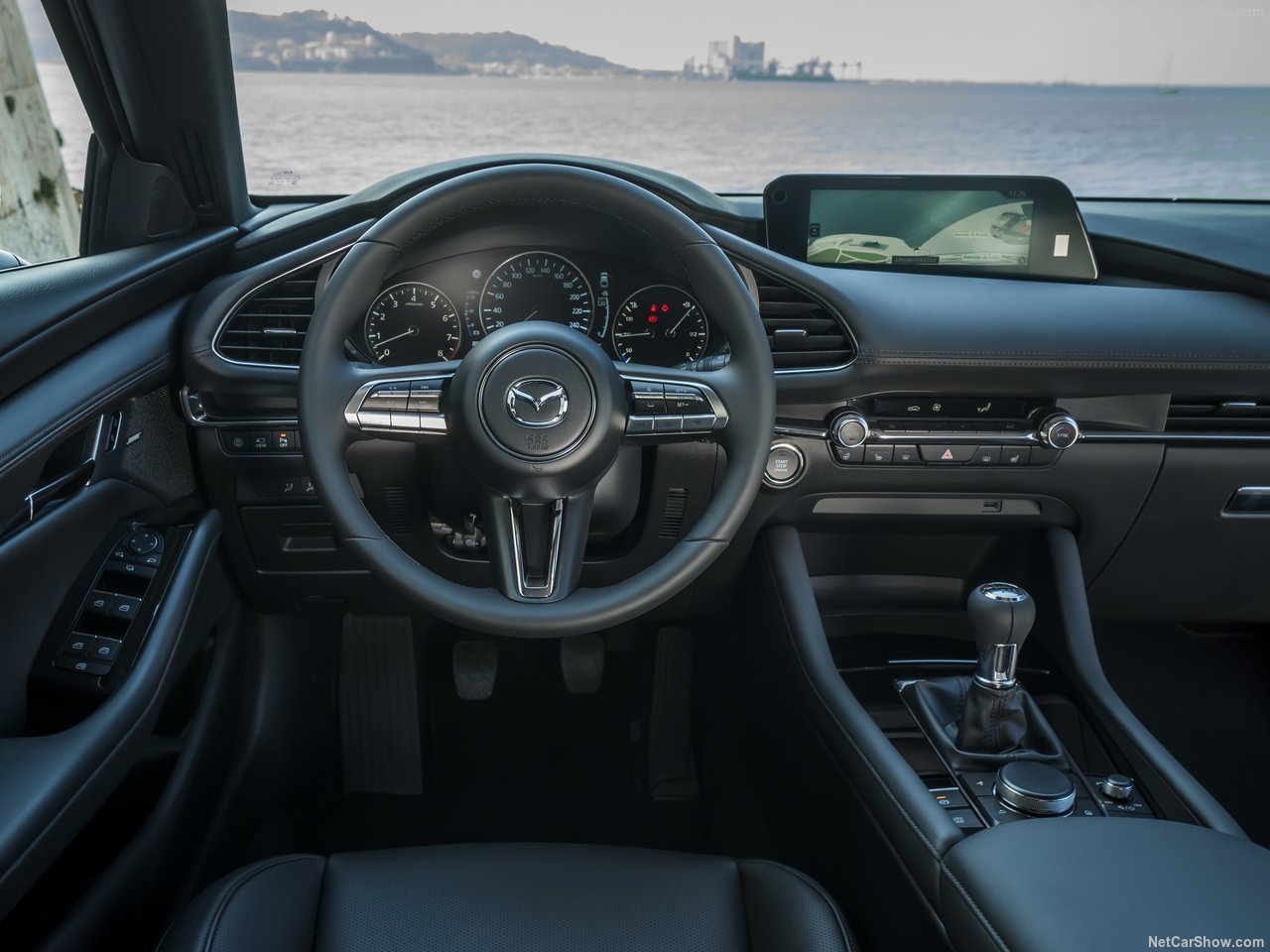 Ποιοτικά υλικά στο κόκπιτ του ιαπωνικού μοντέλου.