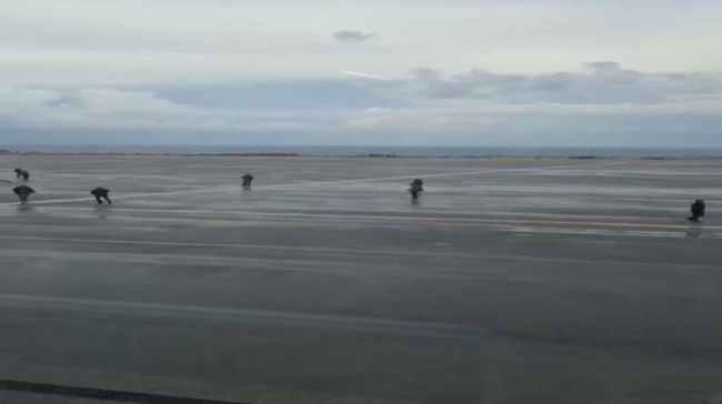 Κρητικός σουρρεαλισμός: Αγρότες παίζουν μπάλα στην πίστα του αεροδρομίου! (vid)