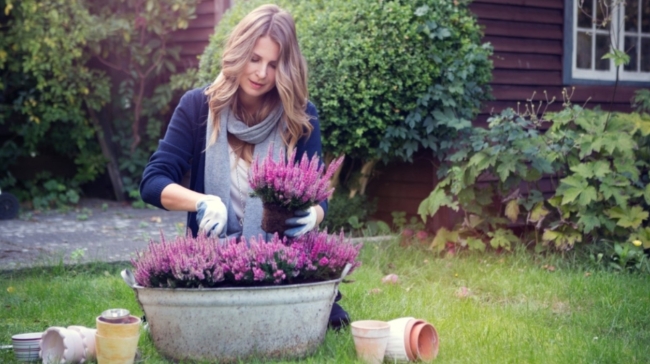 Κήπος: Αυτές είναι οι έξυπνες εργασίες για τον Δεκέμβριο με τα νέα δεδομένα του κλίματος