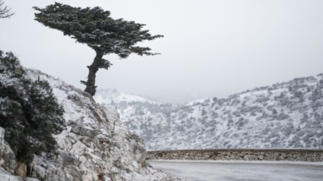 Έπεσαν τα πρώτα χιόνια στην Πάρνηθα: Διακοπή κυκλοφορίας στον δρόμο προς το καζίνο (vid)