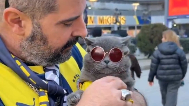 Ο πιο viral οπαδός της Φενέρμπαχτσε είναι μια γάτα!