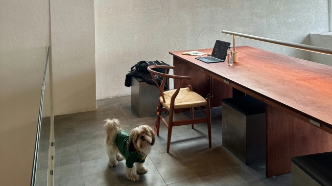 Η γενιά που δουλεύει περισσότερο και ζει χειρότερα: Γιατί οι 30άρηδες δεν πιστεύουν πια στο «αύριο»