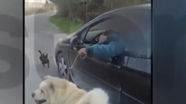 Βίντεο ντοκουμέντο με 67χρονο που τραβούσε το σκύλο του ενώ οδηγούσε