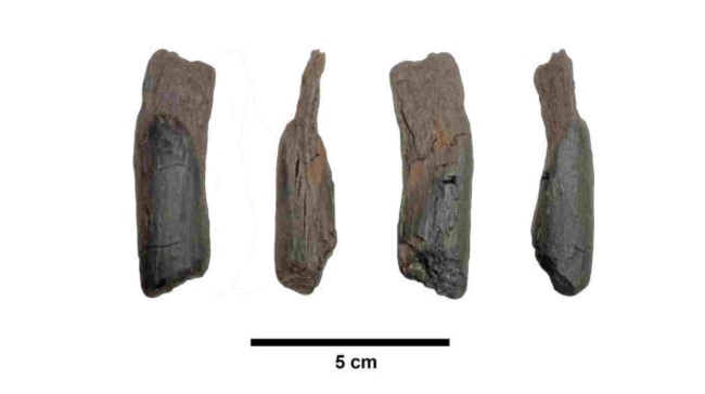 Ανακαλύφθηκε στην Ελλάδα το αρχαιότερο εργαλείο της ανθρωπότητας: Έχει ηλικία άνω των 400.000 ετών