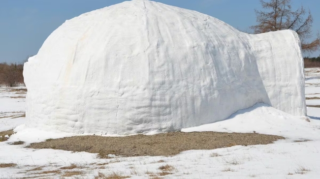 Οικογένεια στη Γερμανία έχτισε ιγκλού στον κήπο της: «Μας πήρε μια ολόκληρη μέρα»