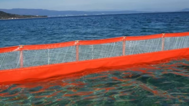 Στην Εύβοια έβαλαν φράγματα 10 χιλιομέτρων για τις μωβ μέδουσες: Οι περιοχές με καταγραφές και τι κάνουμε αν μας τσιμπήσουν