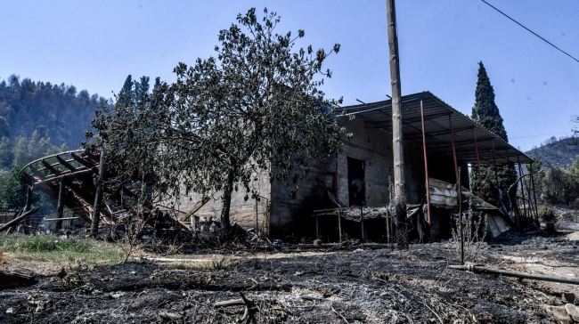«Ο βασιλιάς της στάχτης»: Μέσα από τις στάχτες προχωράμε