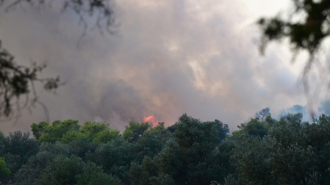 «Κατευθυνθείτε προς Περιστέρι»: Μεγάλη φωτιά ξέσπασε στην περιφερειακή Αιγάλεω - Εκκενώνεται το Δαφνί (vid)