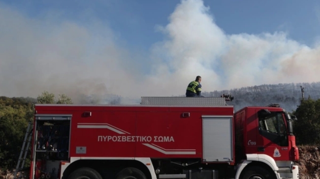 Τιτάνια μάχη με τις φλόγες στην Οινόη: «Η φωτιά καίει σε καμμένες εκτάσεις» - «Έτοιμοι για εκκένωση»