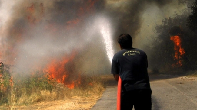 «Με είχαν ξυλοκοπήσει, τους φοβάμαι»: Αποκαλυπτικές μαρτυρίες για το κύκλωμα εμπρηστών στη Μεσσηνία