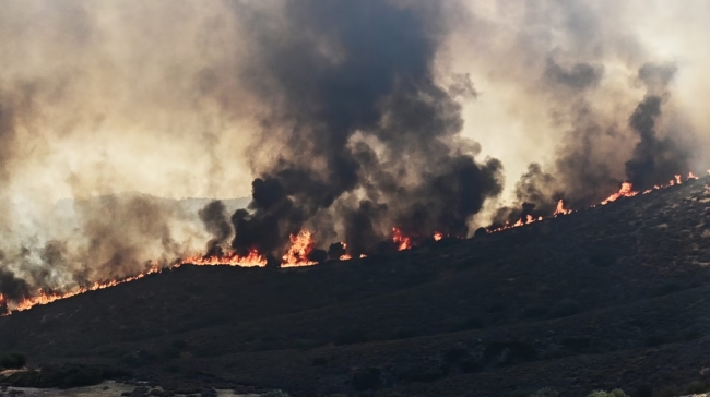 Φωτιές στην Ελλάδα: Τραγικός απολογισμός με τρεις νεκρούς πυροσβέστες – Μάχη σε Κρήτη, Λέσβο και Λακωνία, εκκενώσεις και απεγκλωβισμοί πολιτών