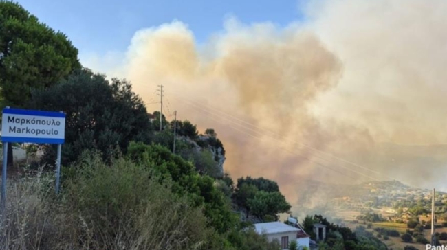 Φωτιά στην Κεφαλονιά: Συνελήφθη 44χρονος για εμπρησμό από πρόθεση – Είχε καταδικαστεί και στο παρελθόν