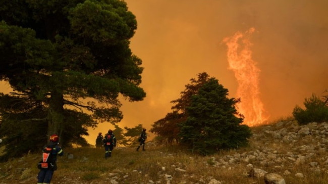 Μέγαρα: Η φωτιά έφτασε στα σπίτια σε Ψάθα και Κανδήλι – Συναγερμός στη ΒΙΠΕ