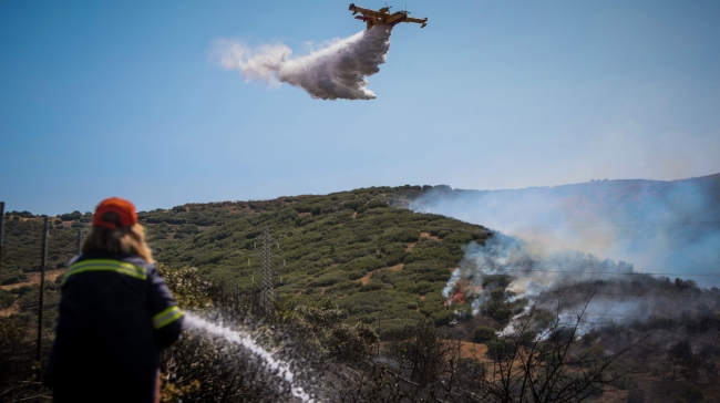 Φωτιές: Ασυνείδητος έκανε μπάρμπεκιου στη Σταμάτα – 281 συλλήψεις από την αρχή του έτους