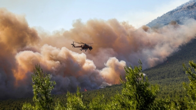 Σε πύρινο κλοιό η Δυτική Αττική: Προς Μέγαρα κατευθύνεται η φωτιά - Νέα 112 για εκκενώσεις οικισμών