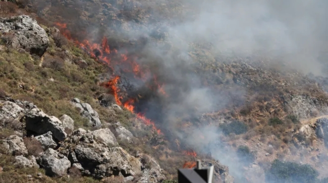 Δύο συλλήψεις για πυρκαγιές σε Χαλκιδική και Νέα Κηφισιά: Επιβλήθηκαν πρόστιμα 4.687,50 ευρώ.