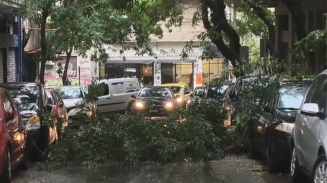 Κακοκαιρία: Διακόπηκε η κυκλοφορία στο κέντρο της Αθήνας από πτώση δέντρου