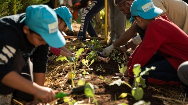 South Aegean Open Farm Days 2026: Γνωρίζοντας τη γη και τις γεύσεις των νησιών