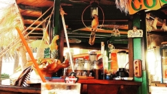 Είδαν τους αστυνομικούς στο beach bar και βούτηξαν για γλιτώσουν το πρόστιμο: «Πέστε στην θάλασσα»