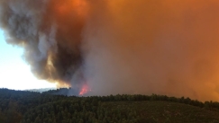 Υψηλός κίνδυνος πυρκαγιάς για αύριο σε πέντε περιφέρειες (pics)