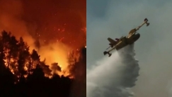 Μπήκε στο Πευκί η φωτιά, κάτοικοι στην βόρεια Εύβοια καταγγέλλουν ότι δεν είχαν βοήθεια από τα εναέρια μέσα: «Έλεος, καιγόμαστε!» (vid)