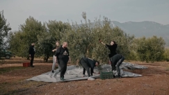 Μεγάλος Βασίλης Καρράς: Έβαλε τους Unboxholics να μαζέψουν ελιές στο κτήμα του (vid)