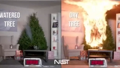 Τρομακτικό βίντεο δείχνει για πρέπει να βρέχετε το (αληθινό) χριστουγεννιάτικο δέντρο (vid)