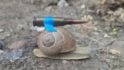 Απίστευτο τρολάρισμα του Ουκρανού πρέσβη στη Γερμανία για τα όπλα: «Έτσι έρχονται με σαλιγκάρι»