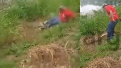 Κροκόδειλος άρπαξε από το πόδι μεθυσμένο στο Μεξικό που του πετούσε πέτρες στη λίμνη (vid)
