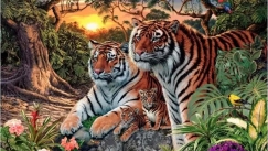 Η οφθαλμαπάτη που έγινε viral και κανείς δεν μπορεί να βρει τις 16 τίγρεις (vid)