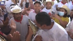 Ο γάμος της χρονιάς: Μεξικανός δήμαρχος παντρεύτηκε αλιγάτορα που φορούσε νυφικό (vid)