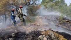 Φωτιά σε δασική έκταση στην περιοχή Φανάρι Ανδρίτσαινας στην Ηλεία και στην περιοχή Λιόφυτη στα Σπάτα