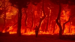 Τα μέτωπα της φωτιάς: Μάχη με τις φλόγες στο Εθνικό Πάρκο Δαδιάς, μαίνεται η πυρκαγιά στη Λέσβο (vids)