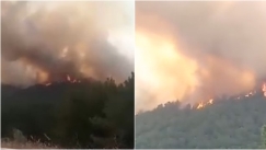 Τρία τα πύρινα μέτωπα στην Ηλεία: Φωτιά καίει δασική έκταση και στη Βάρδα (vid)
