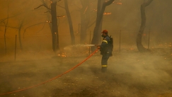 Πυροσβεστικής: Συνεχίζεται η μάχη με τις φλόγες στη Δαδιά, βελτιωμένη η εικόνα στην Λέσβο, σε ύφεση η πυρκαγιά στην Ηλεία (vids)