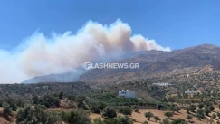 Νέα φωτιά στο Ρέθυμνο: Μήνυμα από το «112» για εκκένωση στα Σακτούρια (vid)