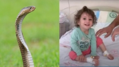 Φίδι δάγκωσε 2χρονη στην Τουρκία αλλά δεν μάσησε και το σκότωσε με τα ίδια της τα δόντια