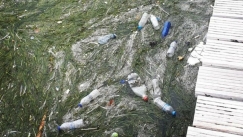 Σκουπιδότοπος η Νέα Παραλία Θεσσαλονίκης: Η θάλασσα δεν φαίνεται από τα πλαστικά μπουκάλια