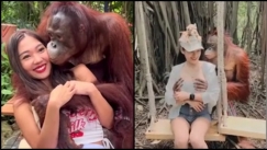 Σεσημασμένος ουρακοτάγκος ξαναθώπευσε χαμογελώντας γυναίκα σε ζωολογικό κήπο (vid)
