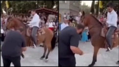Αντιδράσεις για τον Τύρναβο που χτυπούσαν τα άλογα για να προσκυνήσουν την Παναγία: «Έχουμε σπάσει κάθε ρεκόρ βλακείας» (vid)